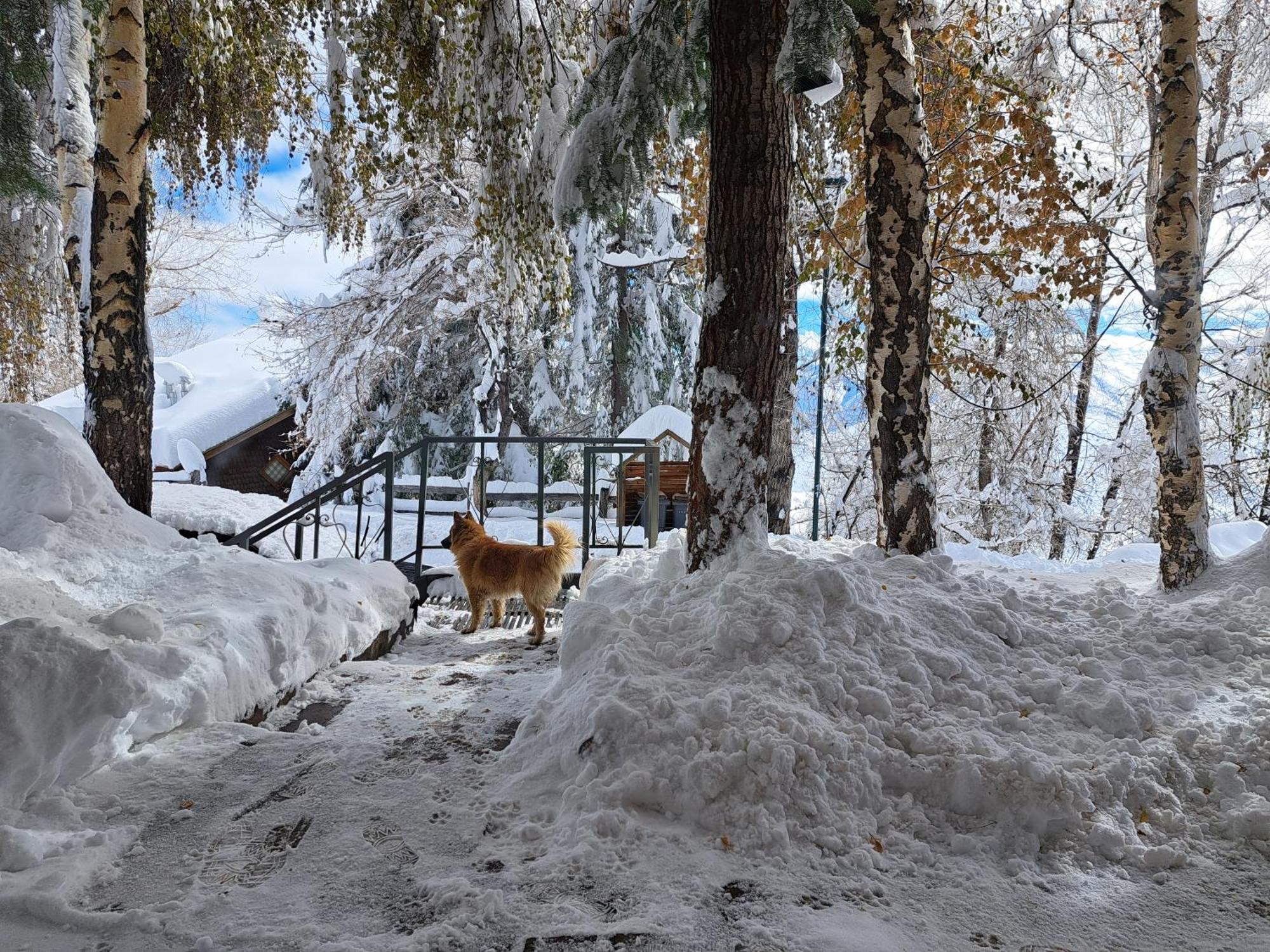 Hostal Boutique Cumbres Farellones Zewnętrze zdjęcie